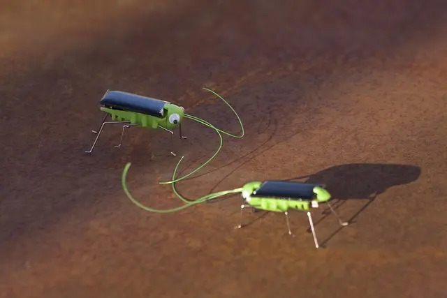 beetle-toy-photovoltaic-2605021777772821..webp