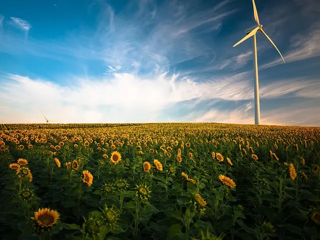 Energias Renováveis no Brasil: Oportunidades de Economia e Sustentabilidade